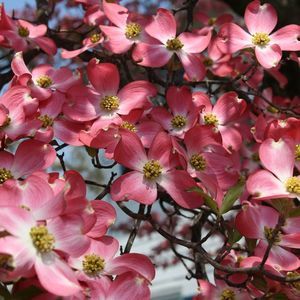 Meet your Posher, Terry